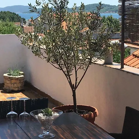 Apartament Tarle - *